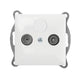Pearl Subscriber Socket 'rtv' Terminal 1.5dbt