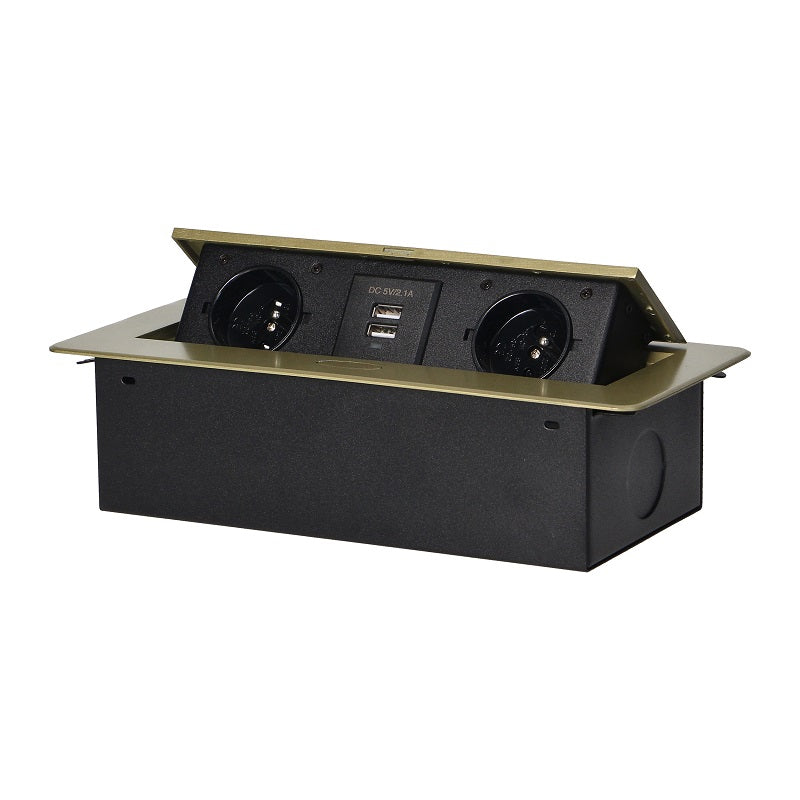 Prise Encastrable 2x2p+z 2xusb Plat Laiton Bord