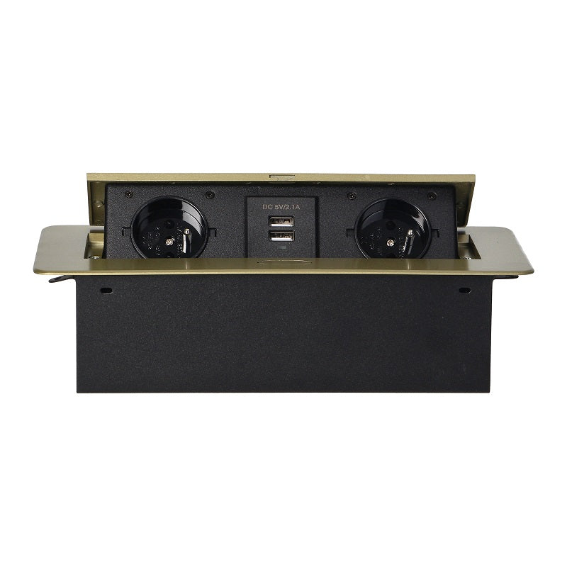 Prise Encastrable 2x2p+z 2xusb Plat Laiton Bord