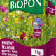 Flower Lawn - Amestec de iarbă și semințe de flori 1kg