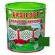 Aksilbet Vernice per calcestruzzo Verde Gn 1l