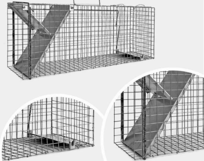 Livetrap For Martens/cats 65x17x20cm