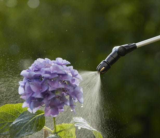 Plus Pressure Sprayer 5l
