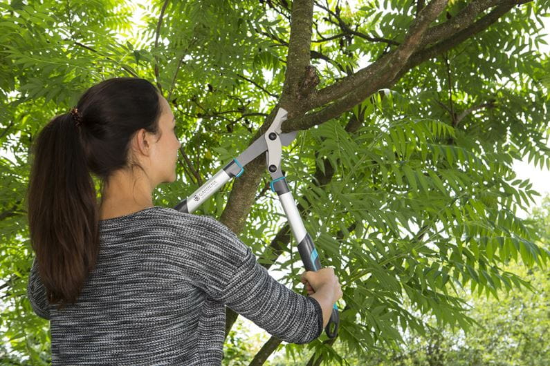 Ec 600b Branch Shears