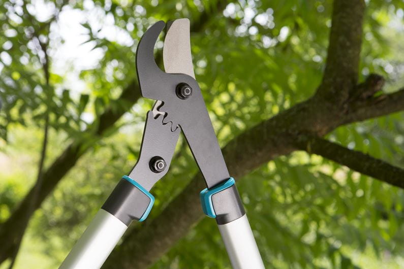 Ec 600b Branch Shears