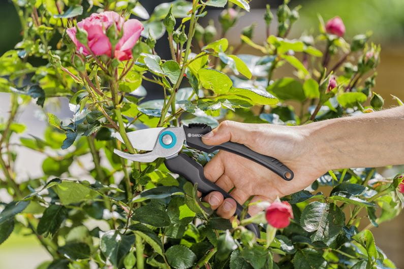 Ecoline Garden Pruning Shears B/s-m