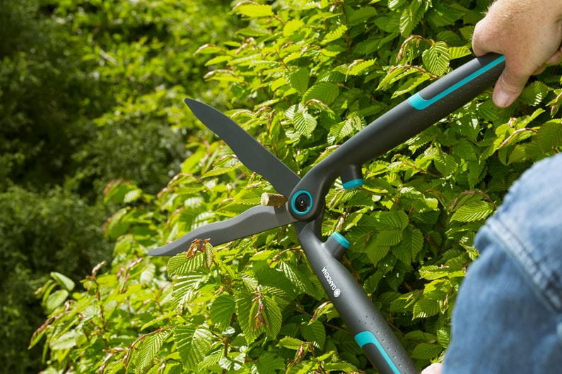 Tijeras para setos