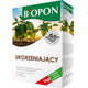 Fertilizante de Enraizamento 1kg