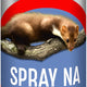 Spray de jder 400 ml