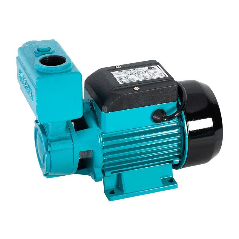 Bomba Hidrofono Wz 250 Cw 230v