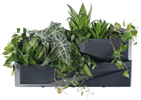 Set 3 gradina verticala Antracit