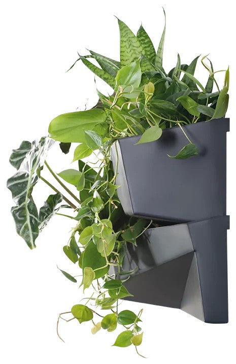 Set 3 gradina verticala Antracit