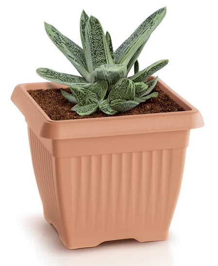 Terra Pot - Teracota