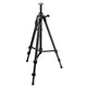 Stativ Tr-560 Hd 1,55m 5/8'' galvaniseret hoved