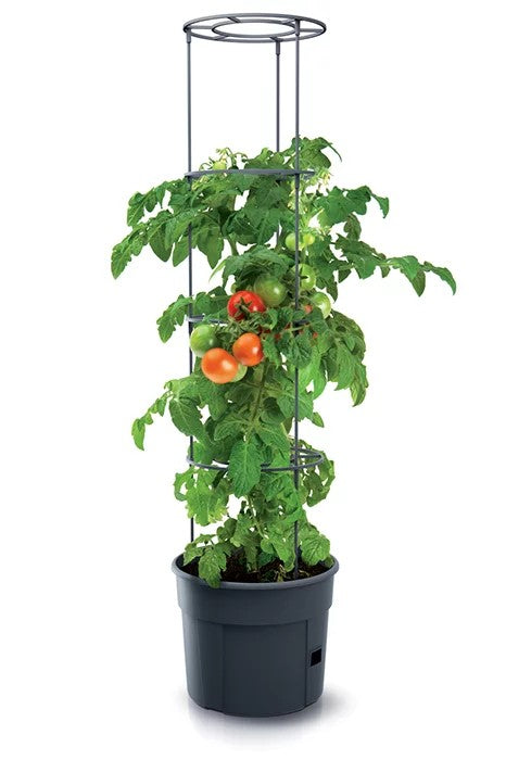 Maceta Tomate - Antracita 28l