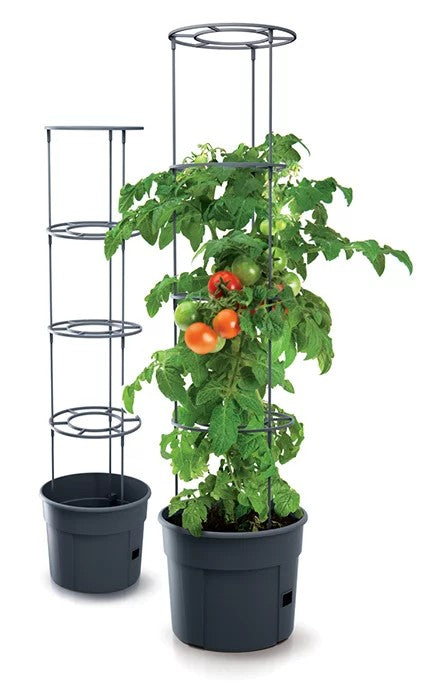 Ghiveci pentru cultivare de tomate - Antracit 12l