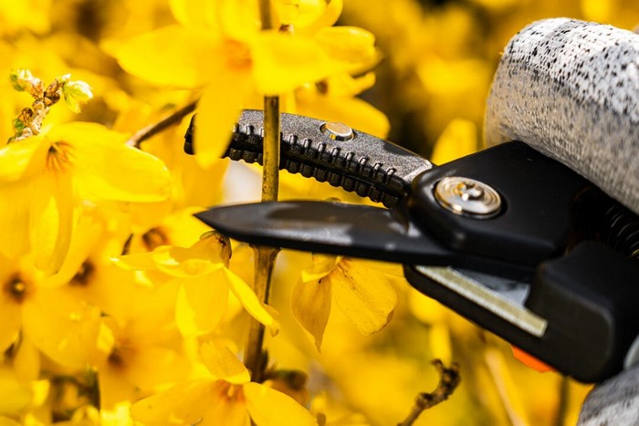 Amboss-Gartenschere, 185 mm Reichweite, bis zu 15 mm verstellbarer Abstand
