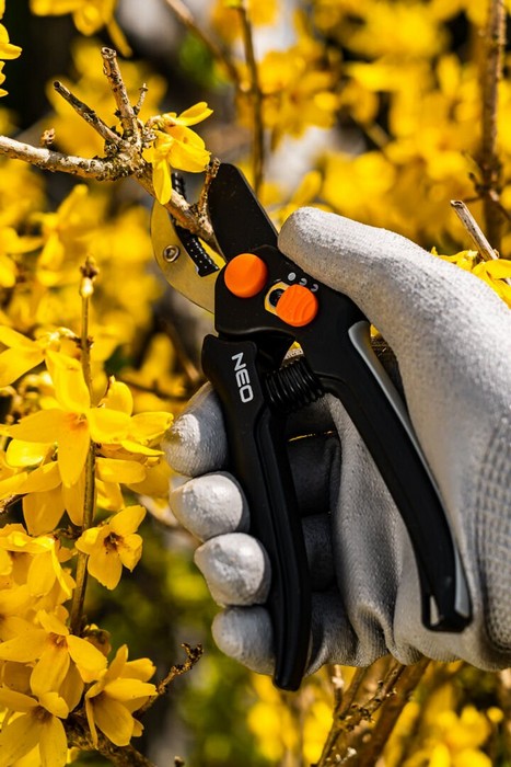 Amboss-Gartenschere, 185 mm Reichweite, bis zu 15 mm verstellbarer Abstand