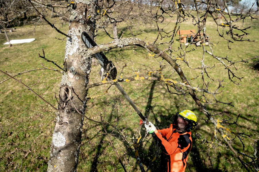 Pruning Saw Attachment Ma-ms 25