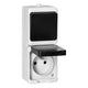Interruttore + Presa 2p+z Aquatic Mini Ip54