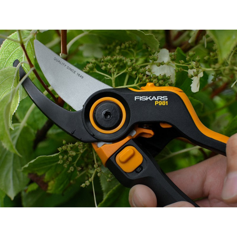 X-series Dualaction P981 Precautor