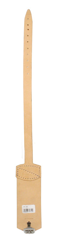 Zápěstí