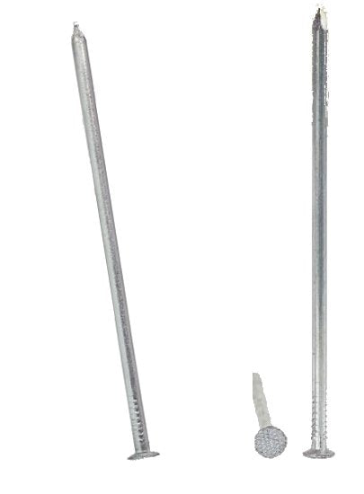 Standard Nails 1.2*20mm