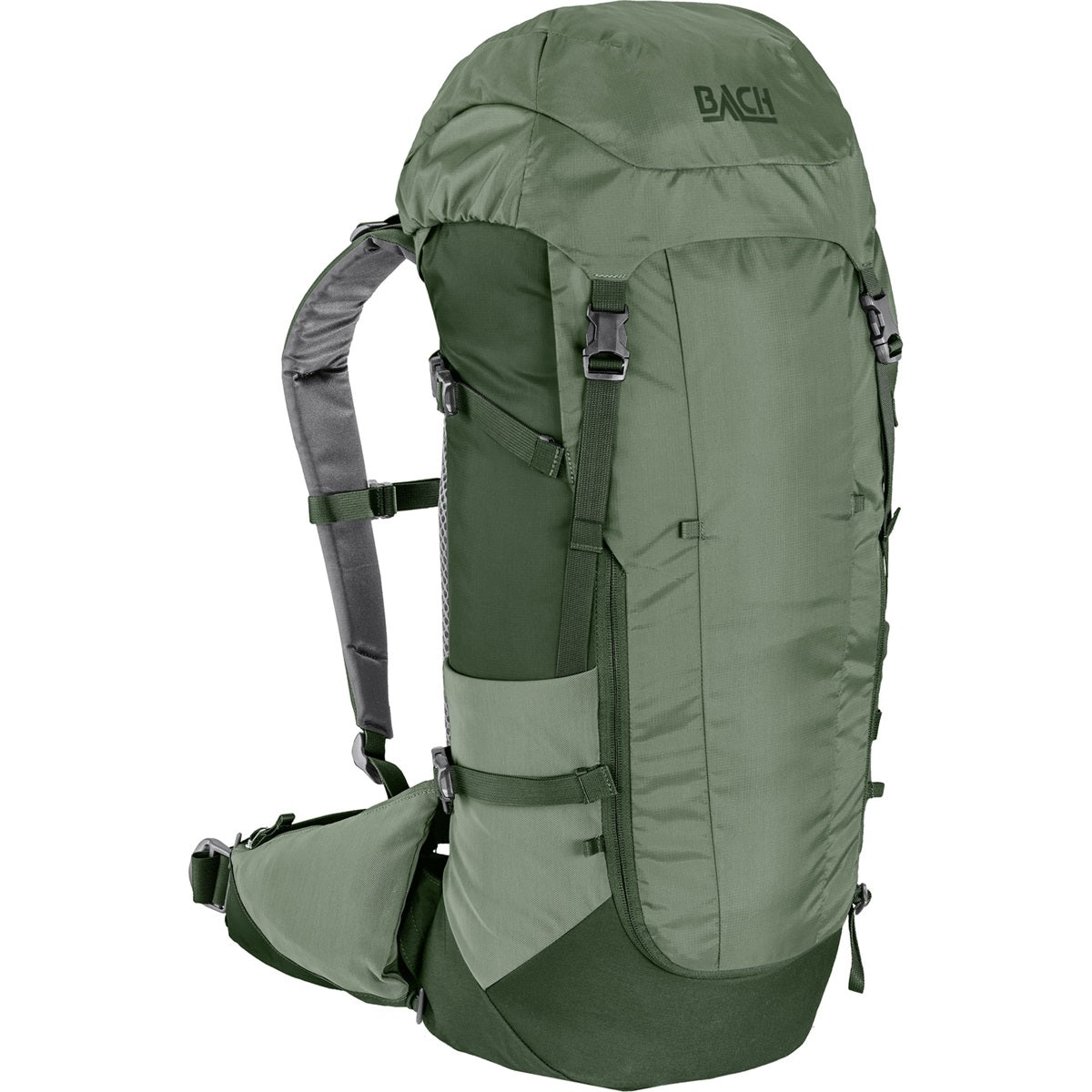 Bach Daydream 35 Sage Green / Kombu Green Regular