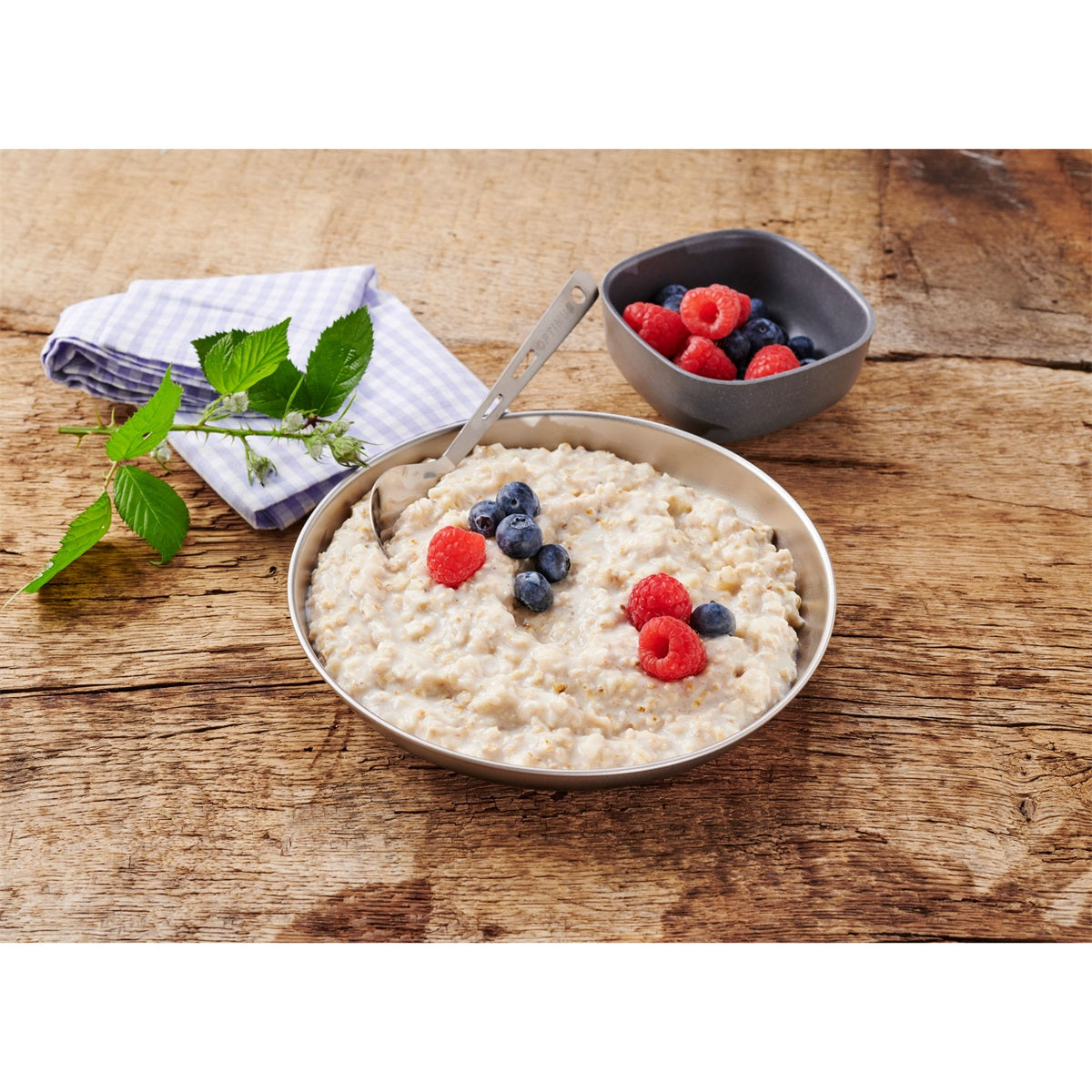 Trek'n Eat Emergency Food Oat Meal Bowl