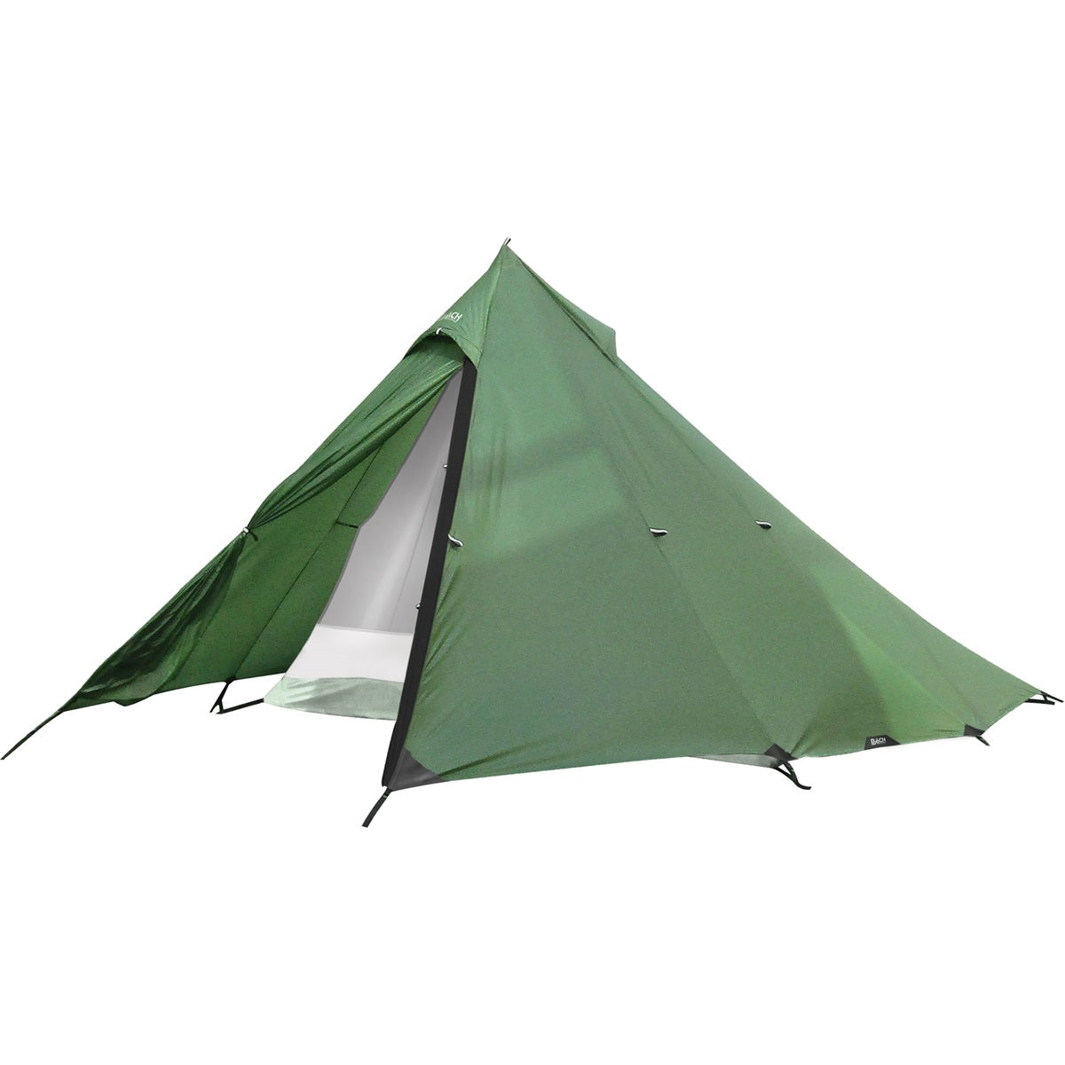 Bach Wickiup 5 Ramo de Salgueiro Verde