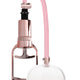 Rose Gold Vaginal Vacuum – For A Sensual Experience