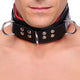 Padded Leather Collar With 3 D-rings – Red