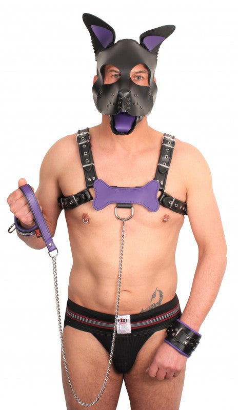 Premium 1m Purple Leash With Leather Handle
