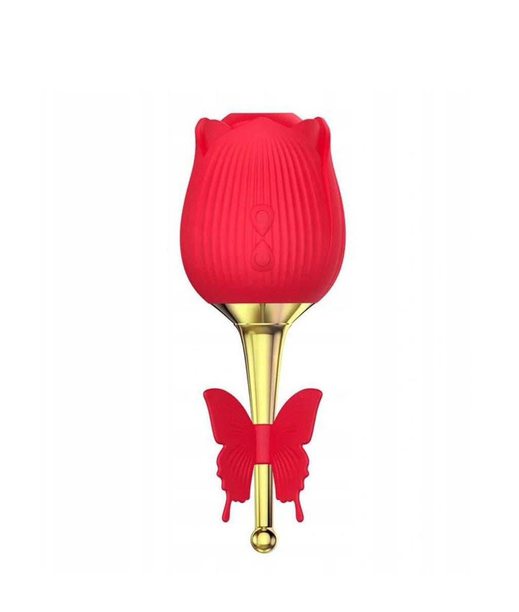 Flirting Partner Vibrator No-touch Pulsating Vibrating 10 Functions Usb-charged