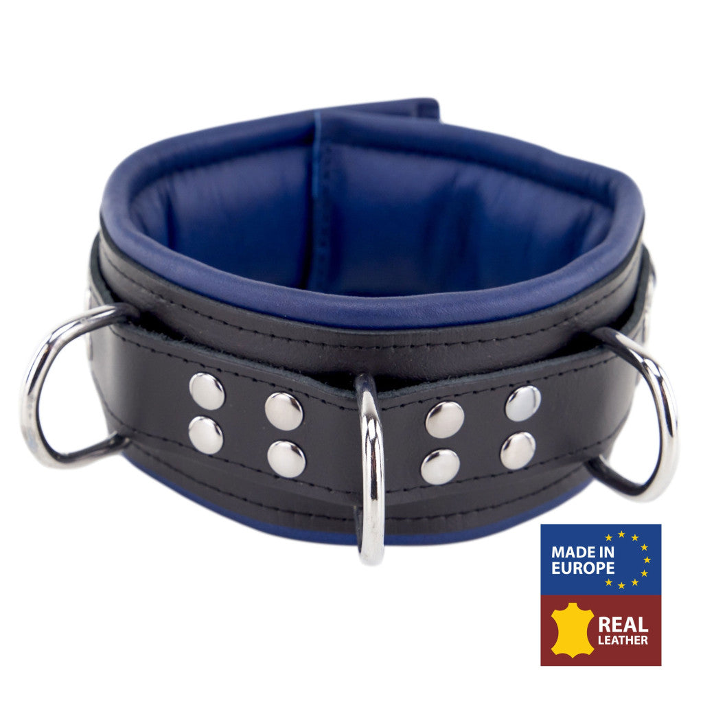 Padded Leather Collar – 3 D-rings Black-blue