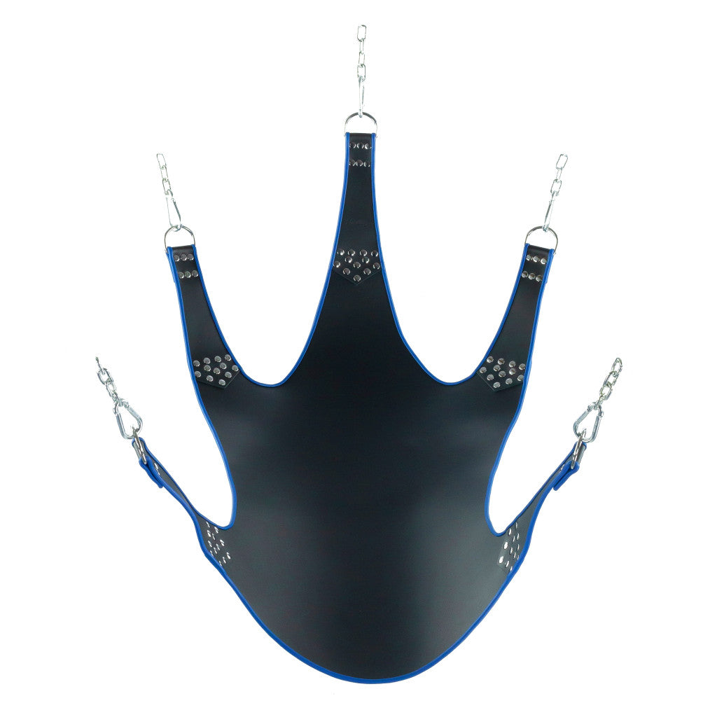 5-point Leather Harness – Stylish Black And Blue Fastening System