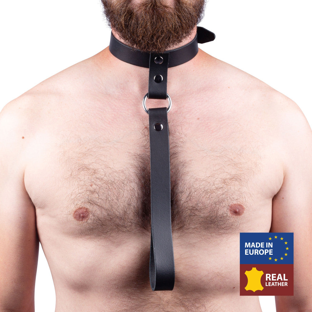 Leather Collar With Short Leash – A Stylish Accessory