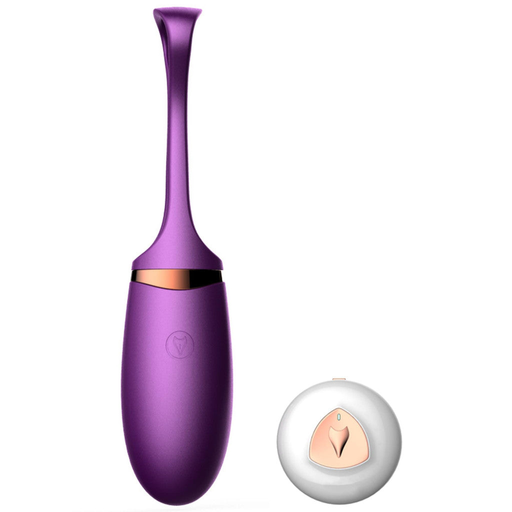 Sex Toy Vibrating Egg 10 Modes Usb Charging Voice Control Silicone Waterproof
