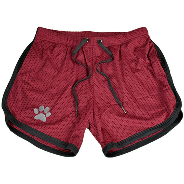 Paw Shorts – Premium Burgundy-black Shorts