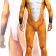 Fox Cosplay – Premium Bear Costume