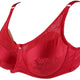 Brace Bra With Prosthesis Compartment Red Lace