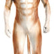 Shiba Dog - White And Fire Cosplay Costume