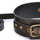 Vintagy – Stylish Collar-leash Combination