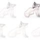 Presskey – Premium Male Intimacy Cage (m)