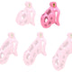 Pink Aspic Cage – Sensual Premium Body Gloss 6.5 X 3.3 Cm