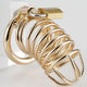 Golden Bird – Premium Men's Intimate Lock 9 X 3.5 Cm