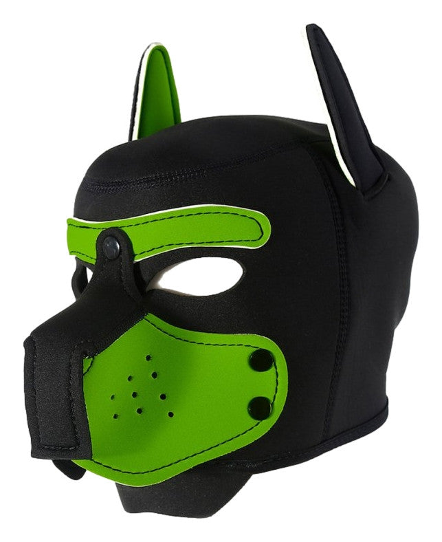 Enjoy Puppy Hood – Black And Green Pupil Mask