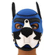 Blue-white Puppy Fox – Neoprene Mask For Stylish Protection