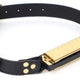 Accordion Gold-plated Joke Gift