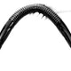 Double-ended Threaded Anal Dildo